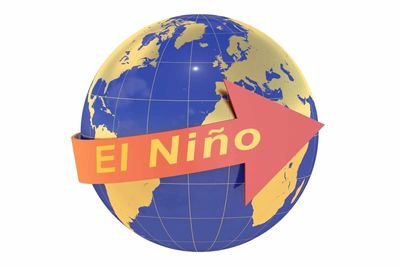 El Niño Weather Risks Push Cocoa Prices Sharply Higher